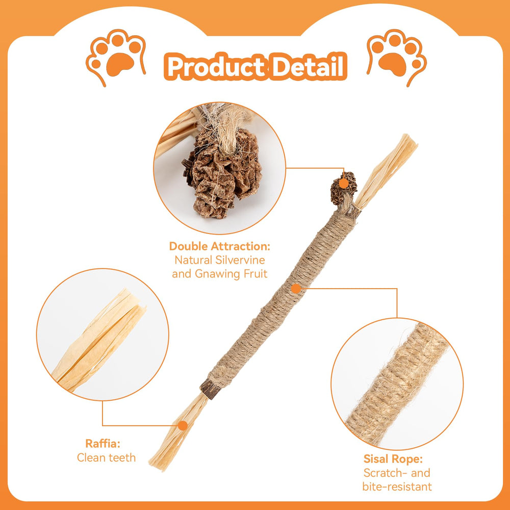 Cat enjoys Caticalife silvervine sticks during chewing session