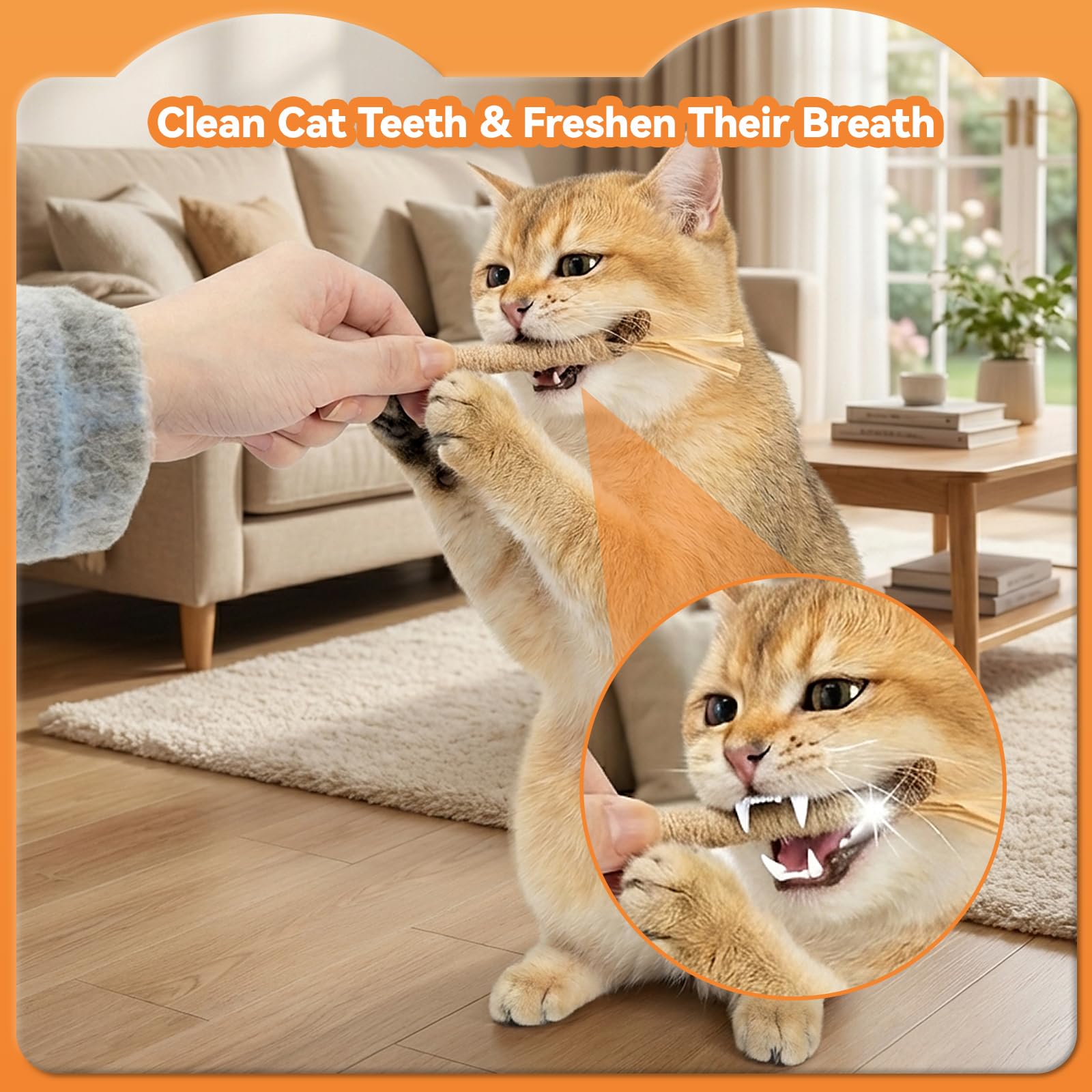 Durable Caticalife sticks designed for enthusiastic chewers