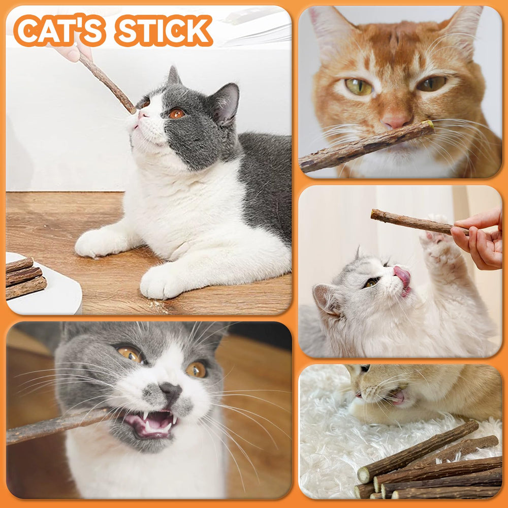 Gift-ready Caticalife silvervine sticks for cat lovers
