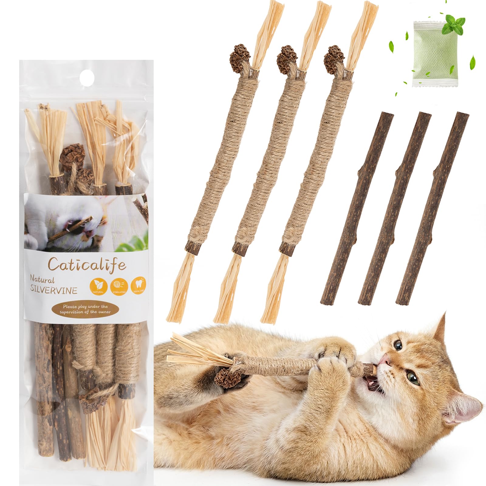 Caticalife silvervine sticks packaging shown for indoor cats' dental care