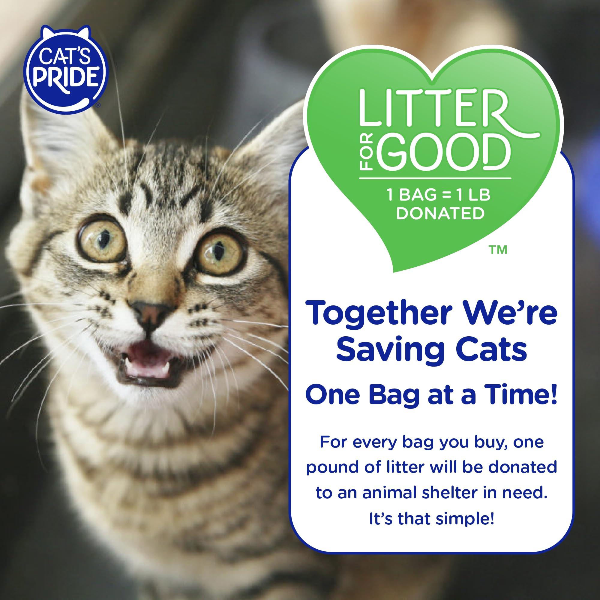 Cat's Pride cat-safe litter suitable for all ages and breeds with easy maintenance