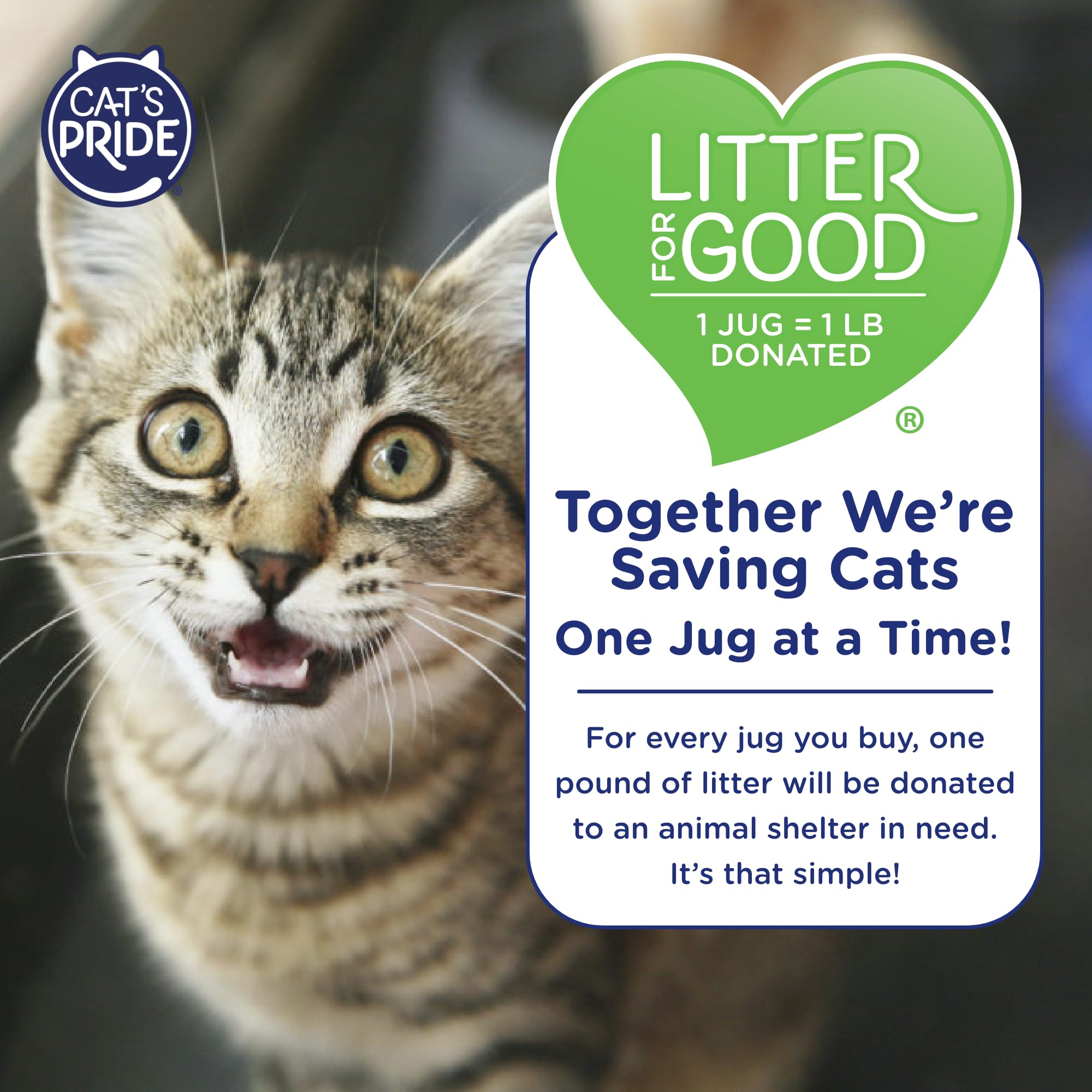 Cat's Pride clumping litter setup promotes mess-free scooping
