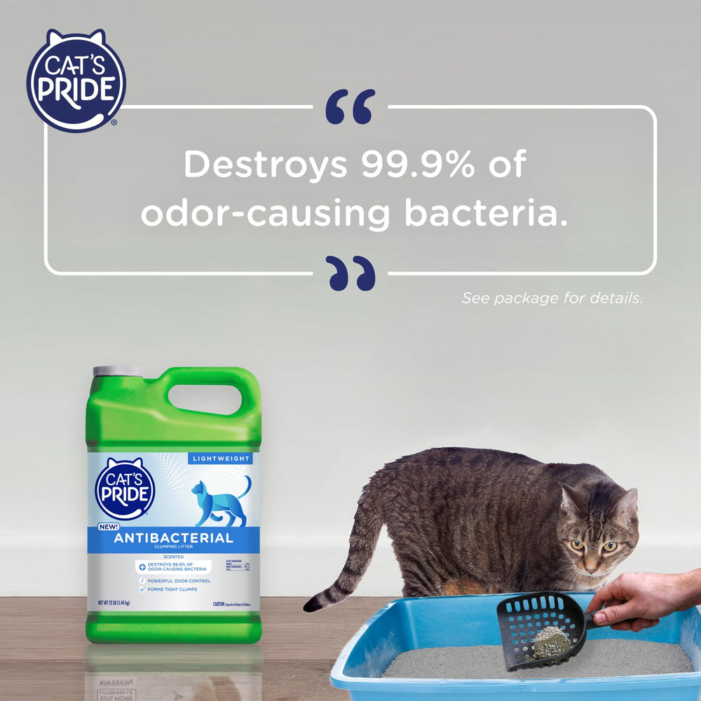 Cat's Pride scented litter bowl ready for a fresh litter box