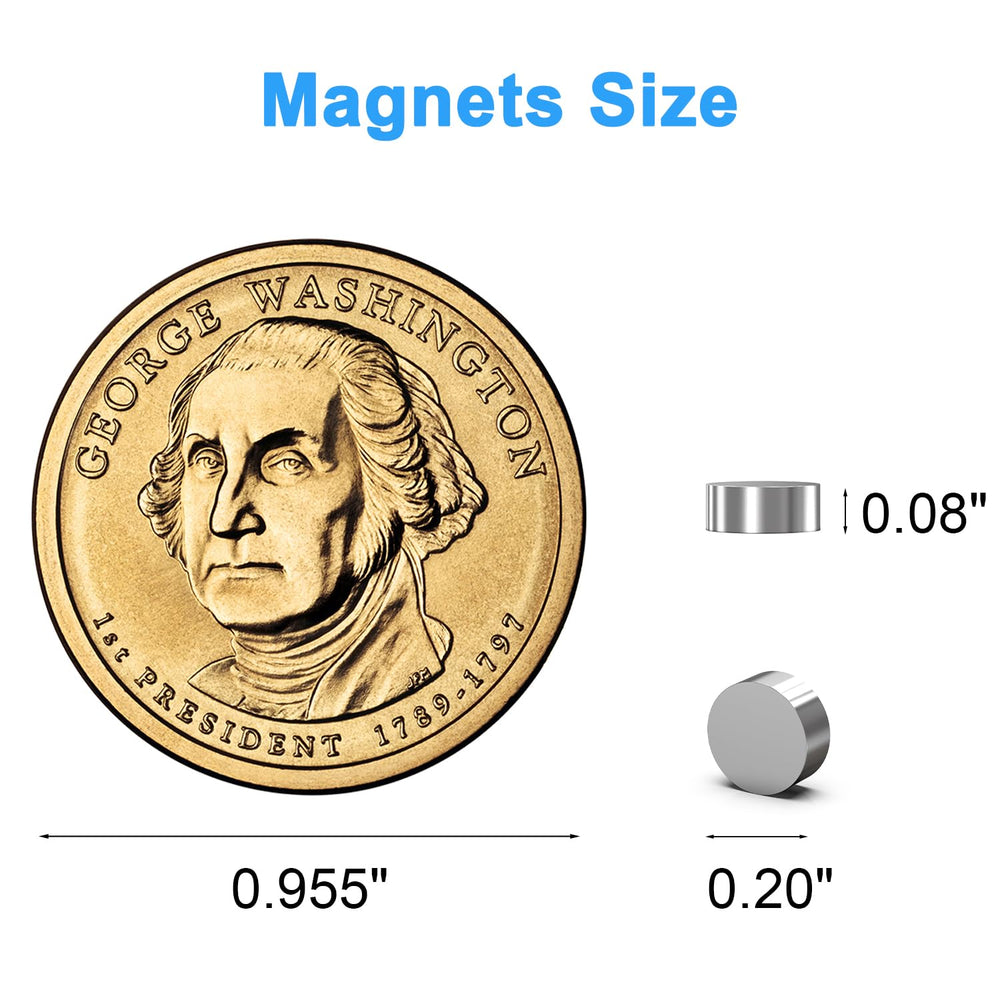 Caturledas 250-pack magnets with transparent storage case for organization.