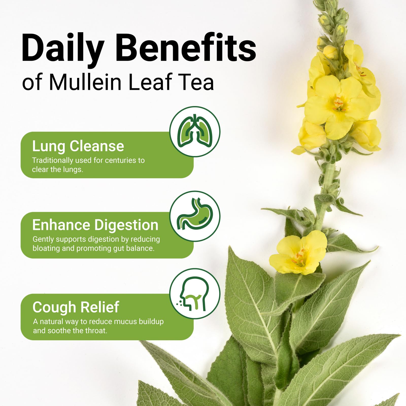 CCnature mullein tea bags close-up shows plant-based, plastic-free materials for clean brewing.