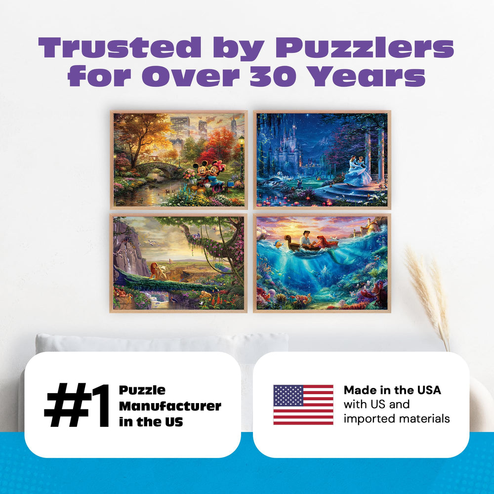 CEACO Disney Dreams 4in1 poster included for reference and added challenge