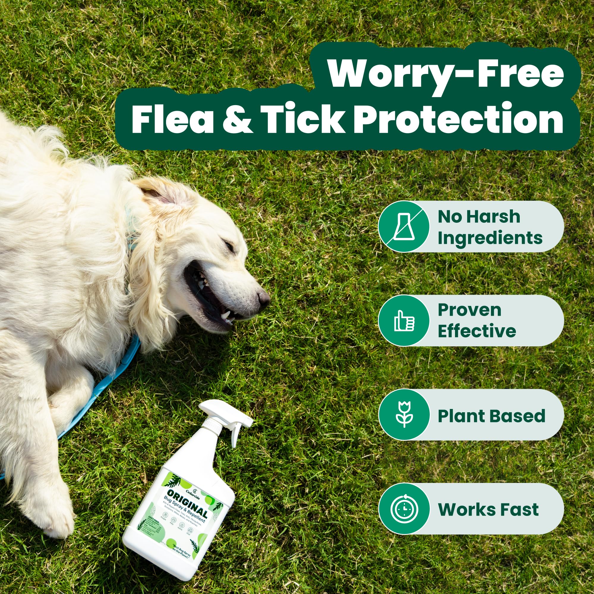 Cedarcide Original Bug Spray shown near a pet to indicate pet-safe use around animals.