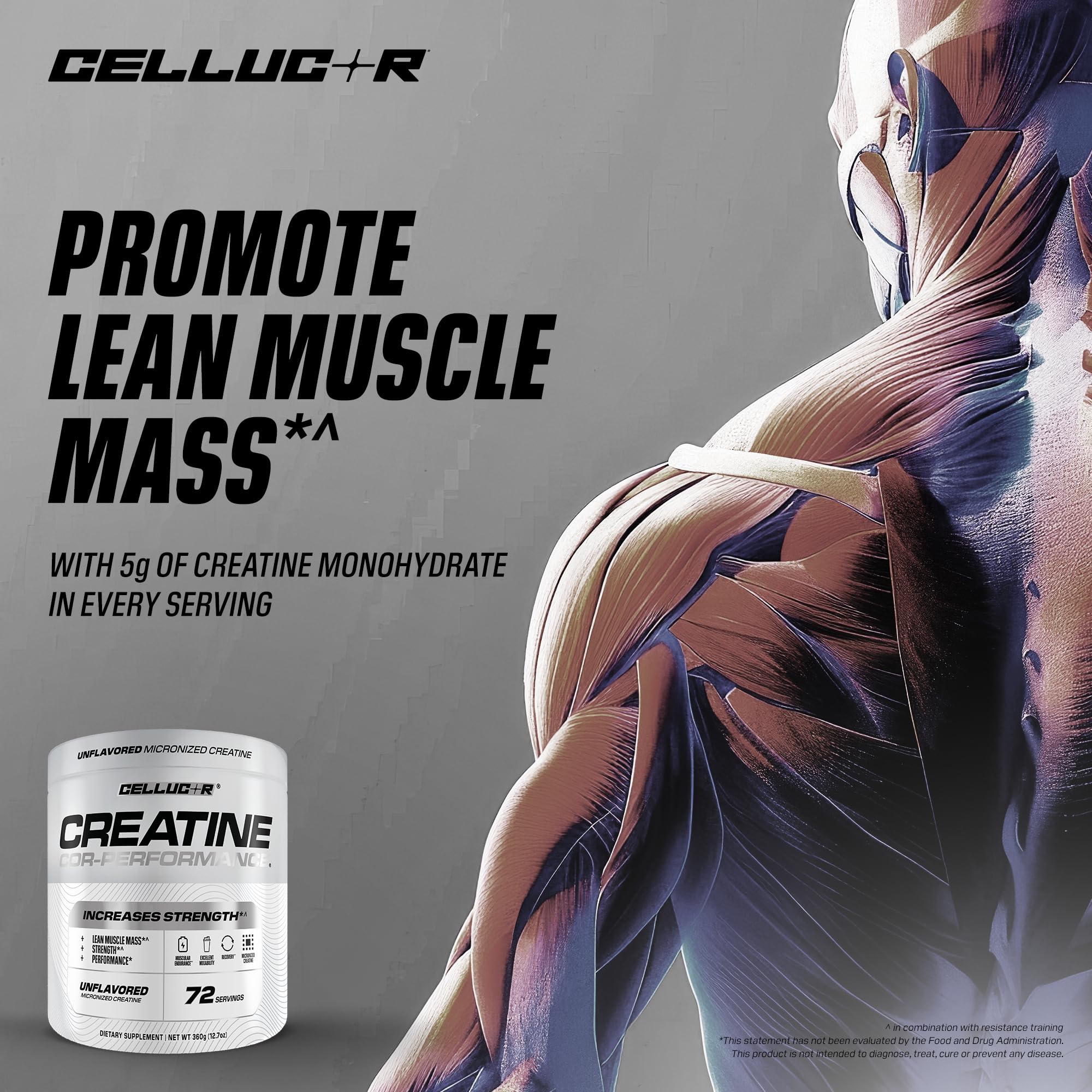 Cellucor Cor-Performance Creatine Monohydrate NSF-certified label signals quality