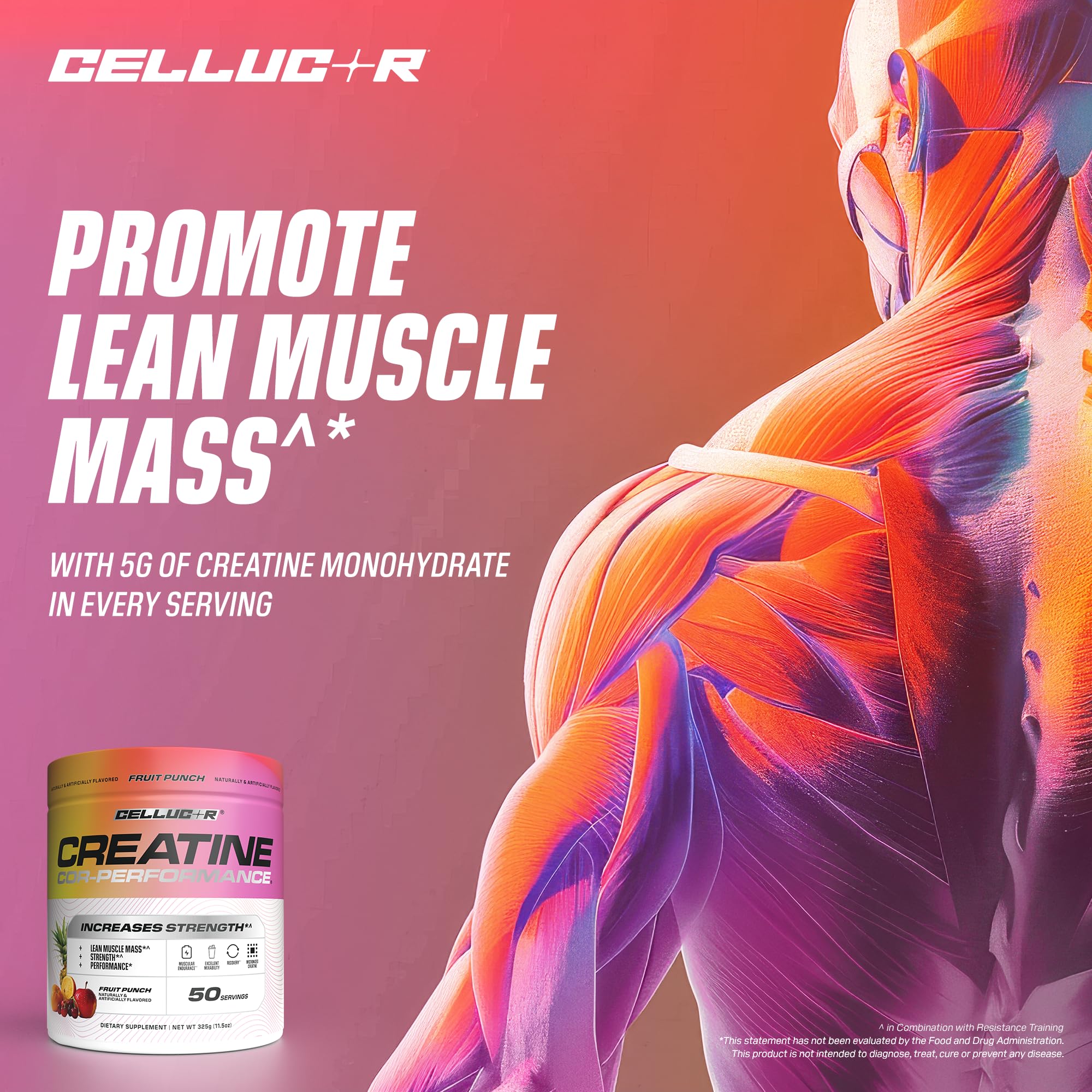 Cellucor Creatine Powder Fruit Punch pouring into a shaker for quick hydration