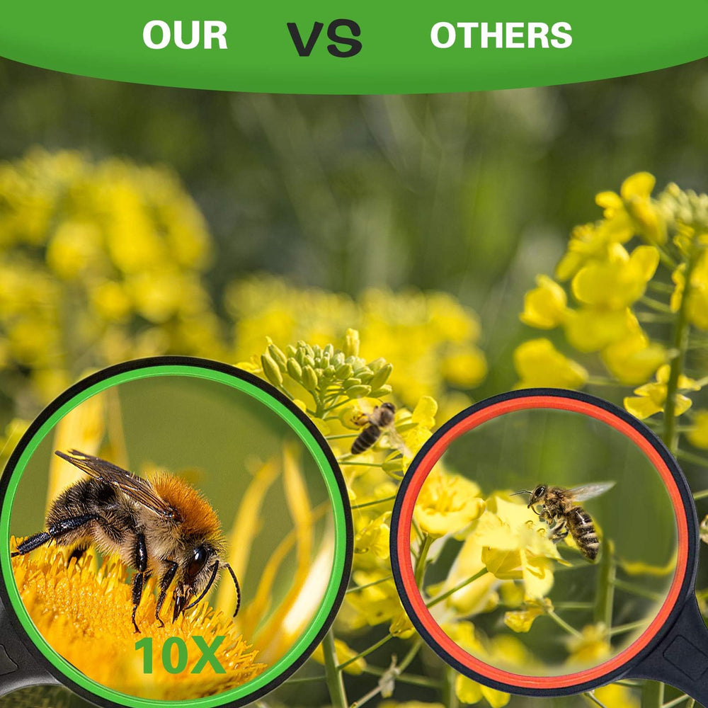 Celosia magnifying glass 75mm helps kids explore nature up close