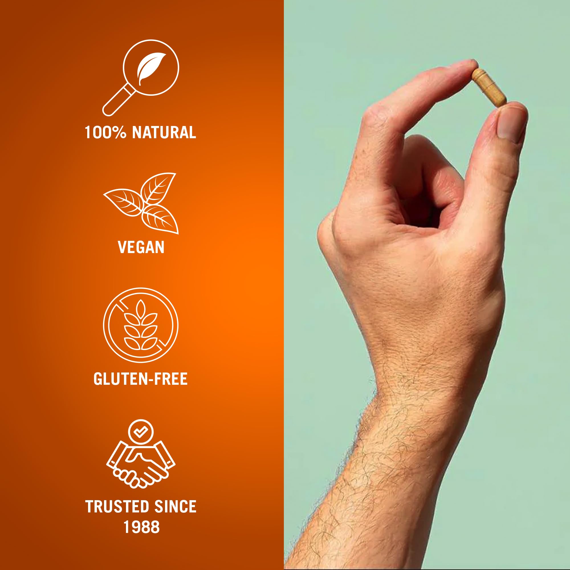 The Cleaner Detox use-instructions illustration – simple routine for days 1–7.