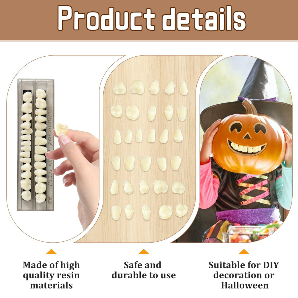 Ceonam denture teeth model learning prop for dental practice