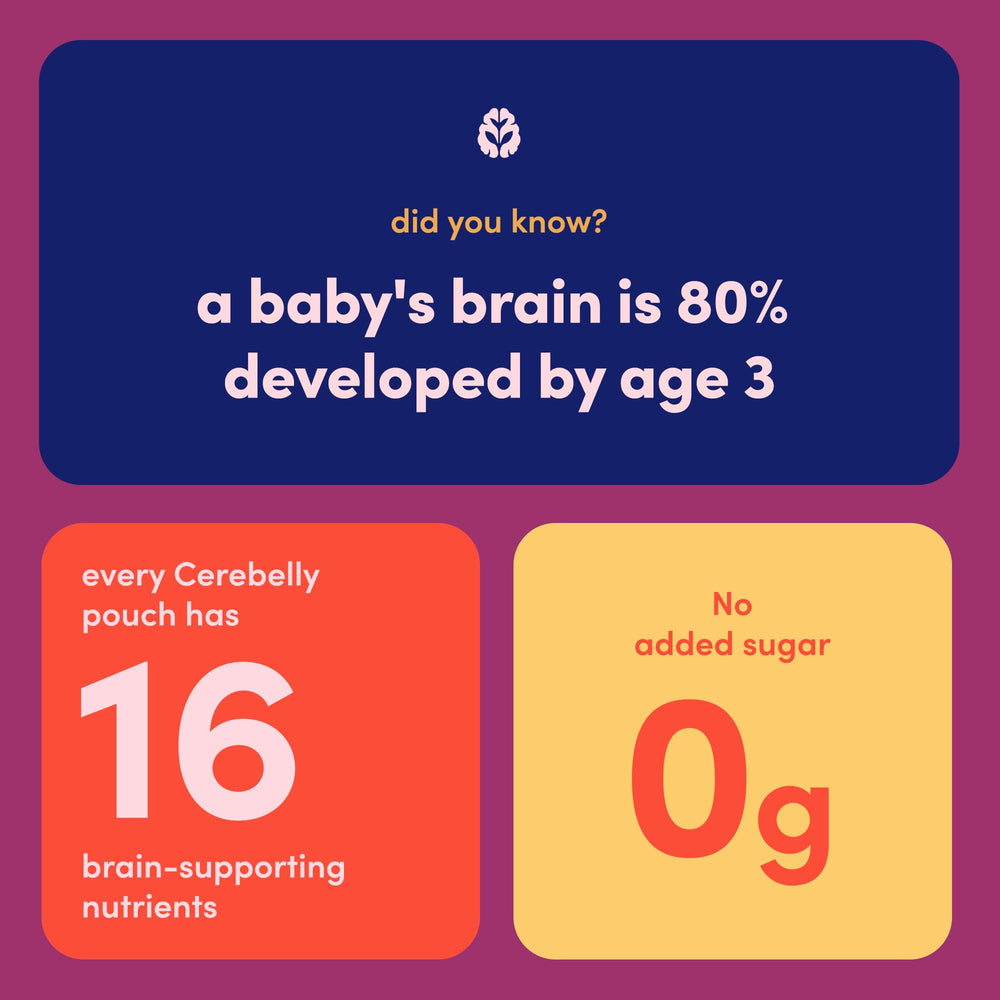 Cerebelly pouch suitable for Stage 1–3 meals and snacks