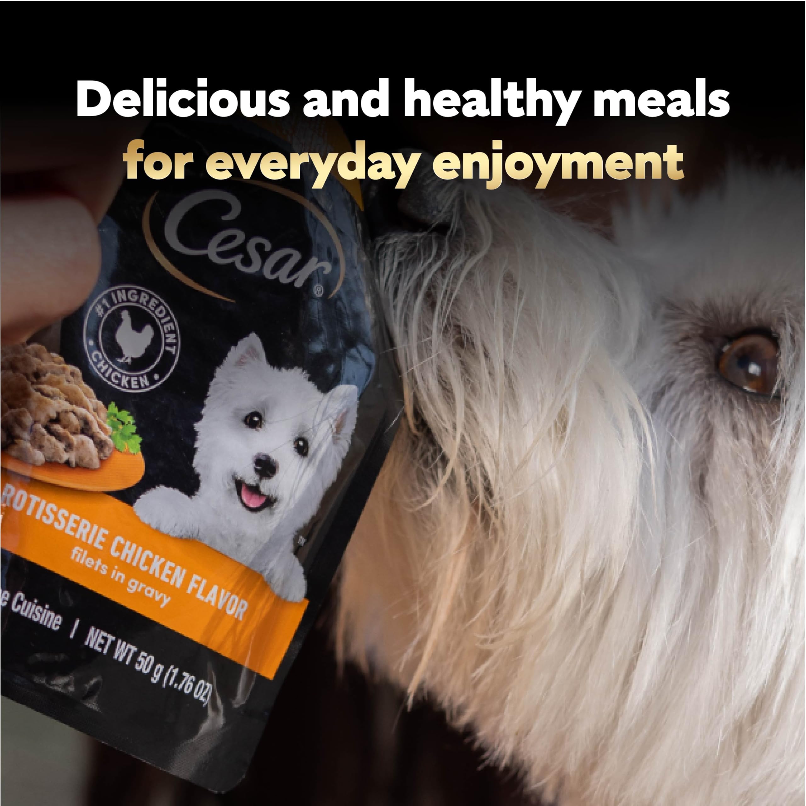 Cesar Filets in Gravy variety-pack display with two flavors on show