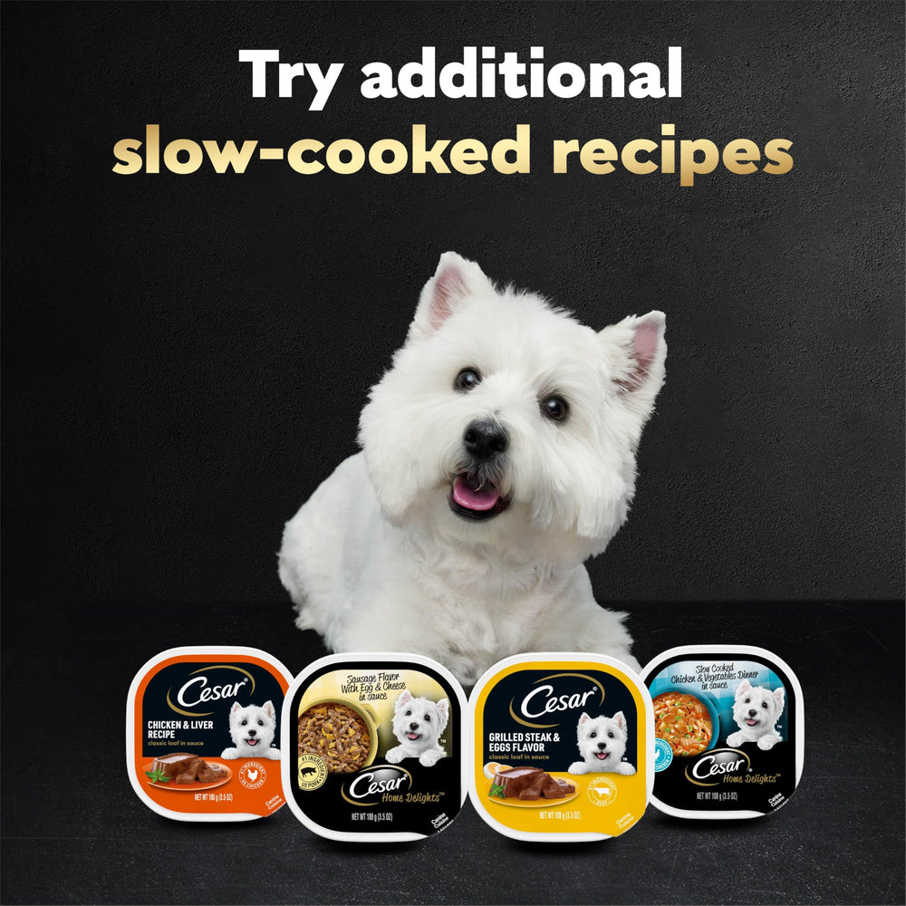 Cesar meal toppers for dry food enhance kibble with extra taste.