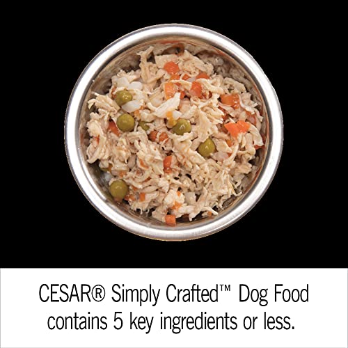 Cesar Simply Crafted toppers close-up of single-serve tub for convenient daily feeding.