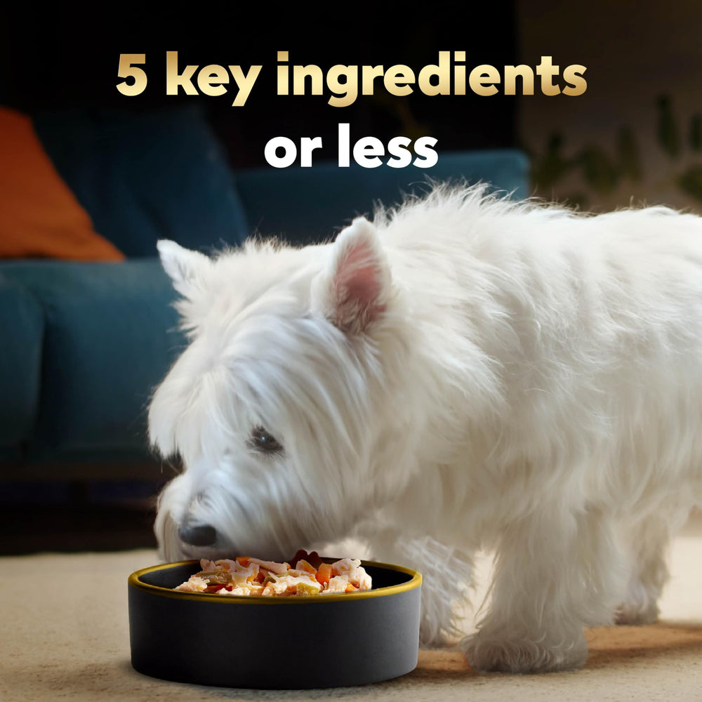 Cesar Simply Crafted 1.3oz chicken topper tub highlights real chicken for flavorful dinners.