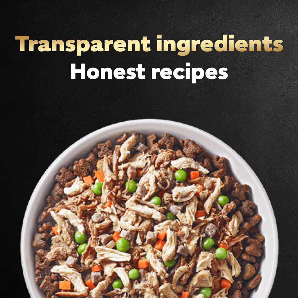 Cesar Simply Crafted slow-cooked flavor image; robust aroma and tender texture.