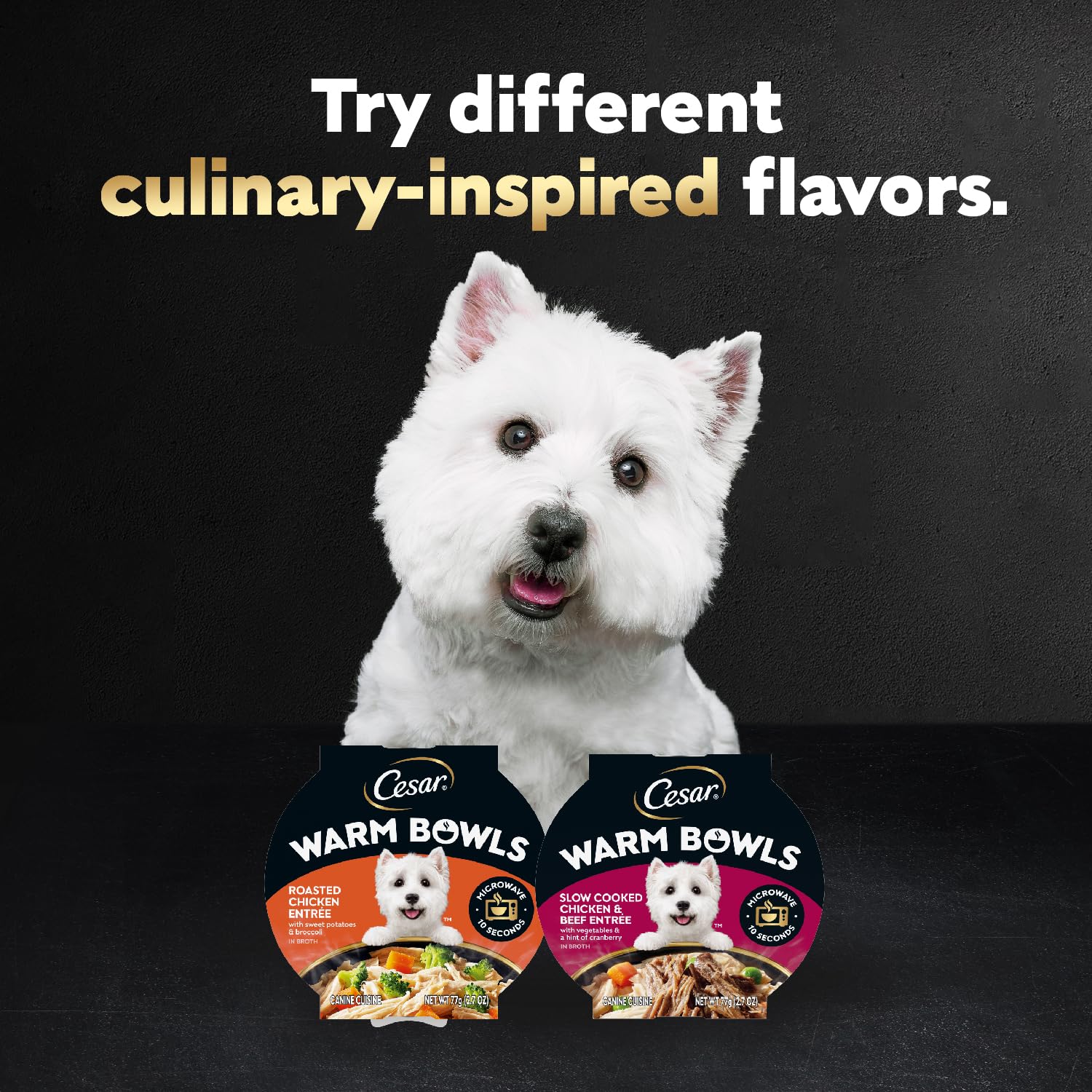 Cesar Warm Bowls easy-digest wet dog food for meal time