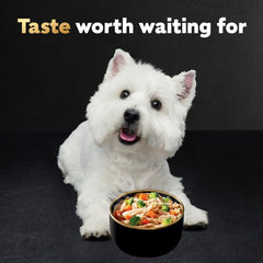 Cesar Warm Bowls real chicken as first ingredient, premium dog nutrition