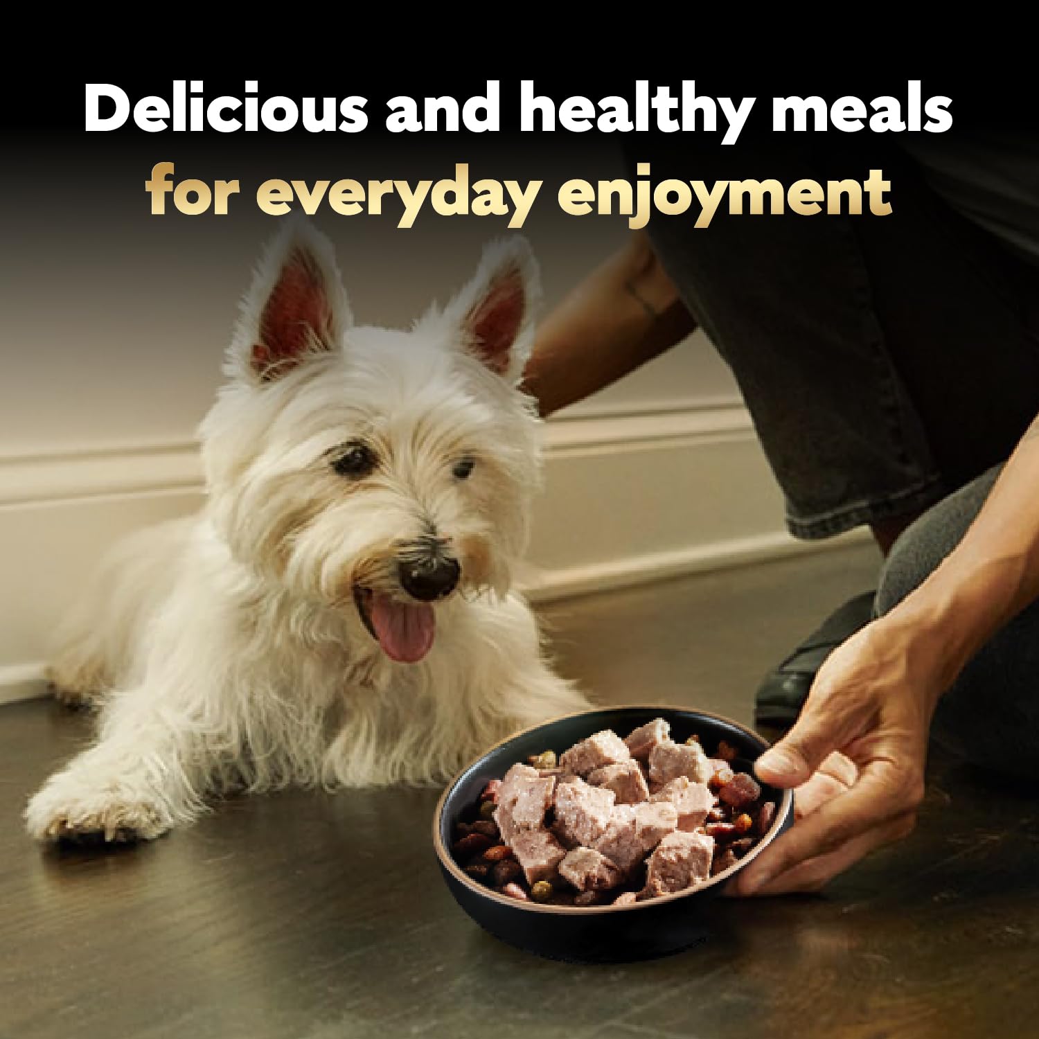 Cesar complete and balanced adult dog meal for everyday feeding.