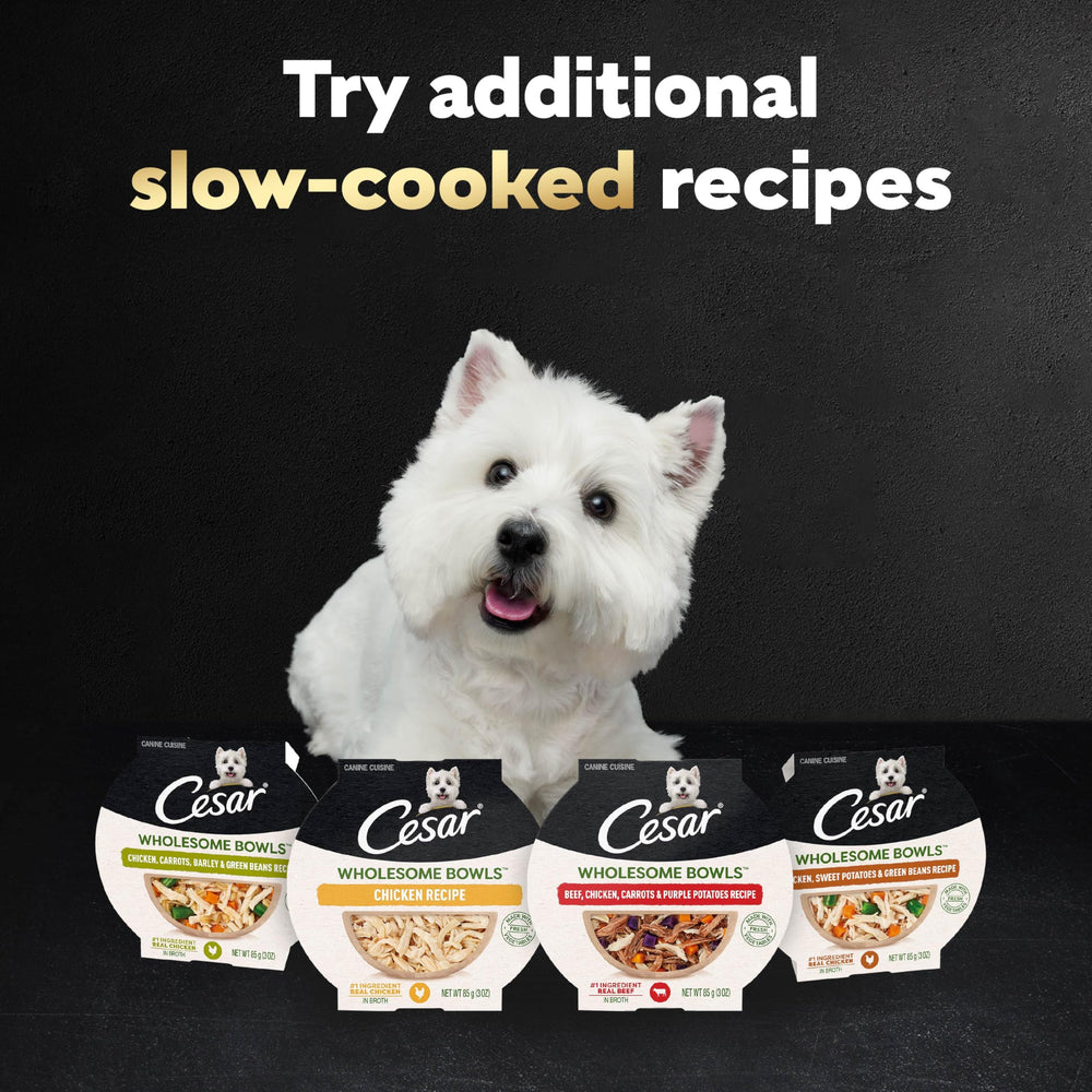 Cesar Wholesome Bowls bowl-and-spoon presentation ideal for quick meals