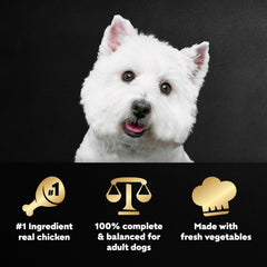 Cesar Wholesome Bowls chicken-ingredient closeup showing real meat and vegetables for nutrition