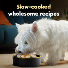 Cesar Wholesome Bowls soft-wet-dog-food texture closeup highlighting easy digestion