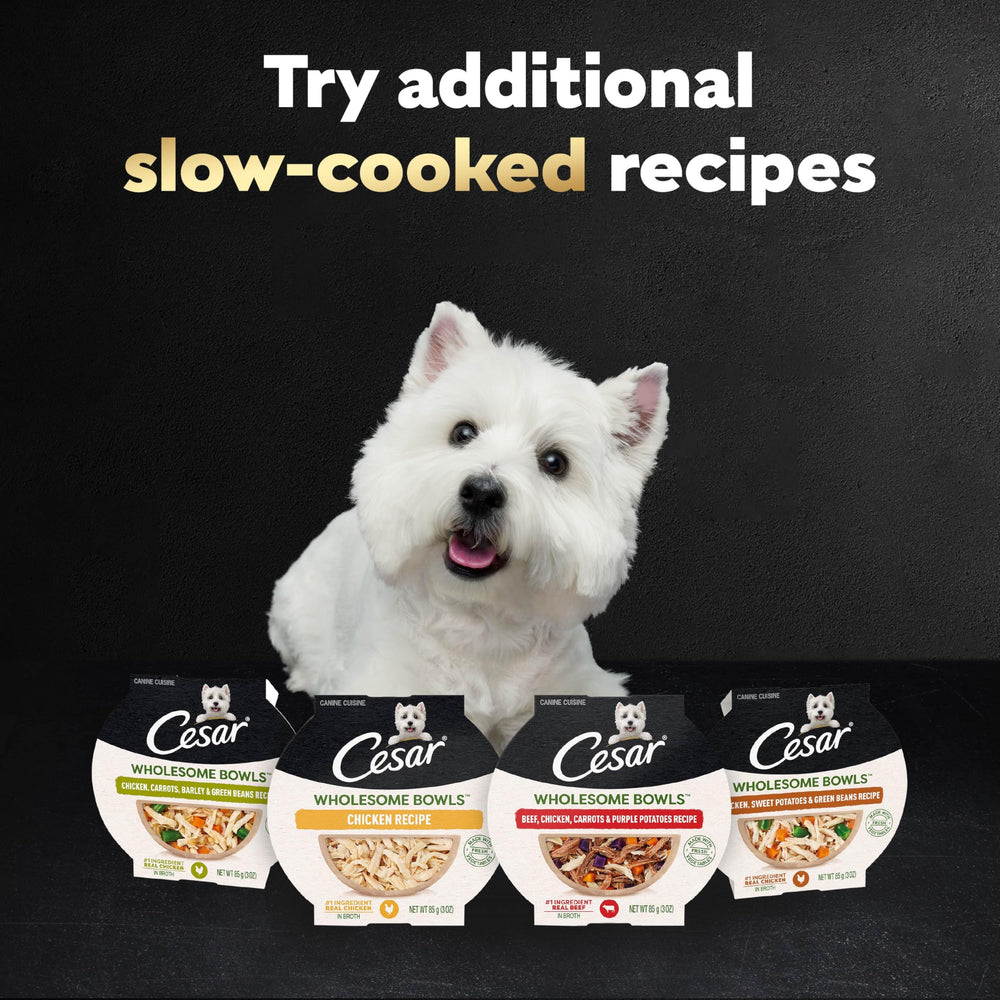 Cesar Wholesome Bowls variety pack, beef and chicken options for dogs