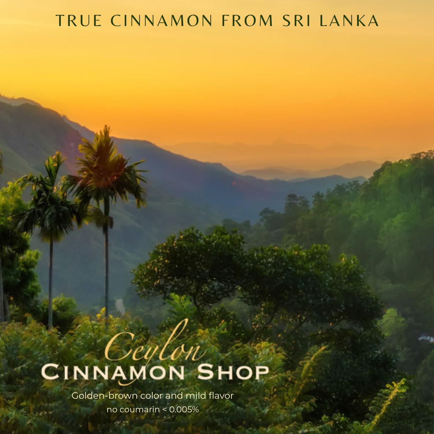Fairtrade cinnamon farm image representing ethical sourcing