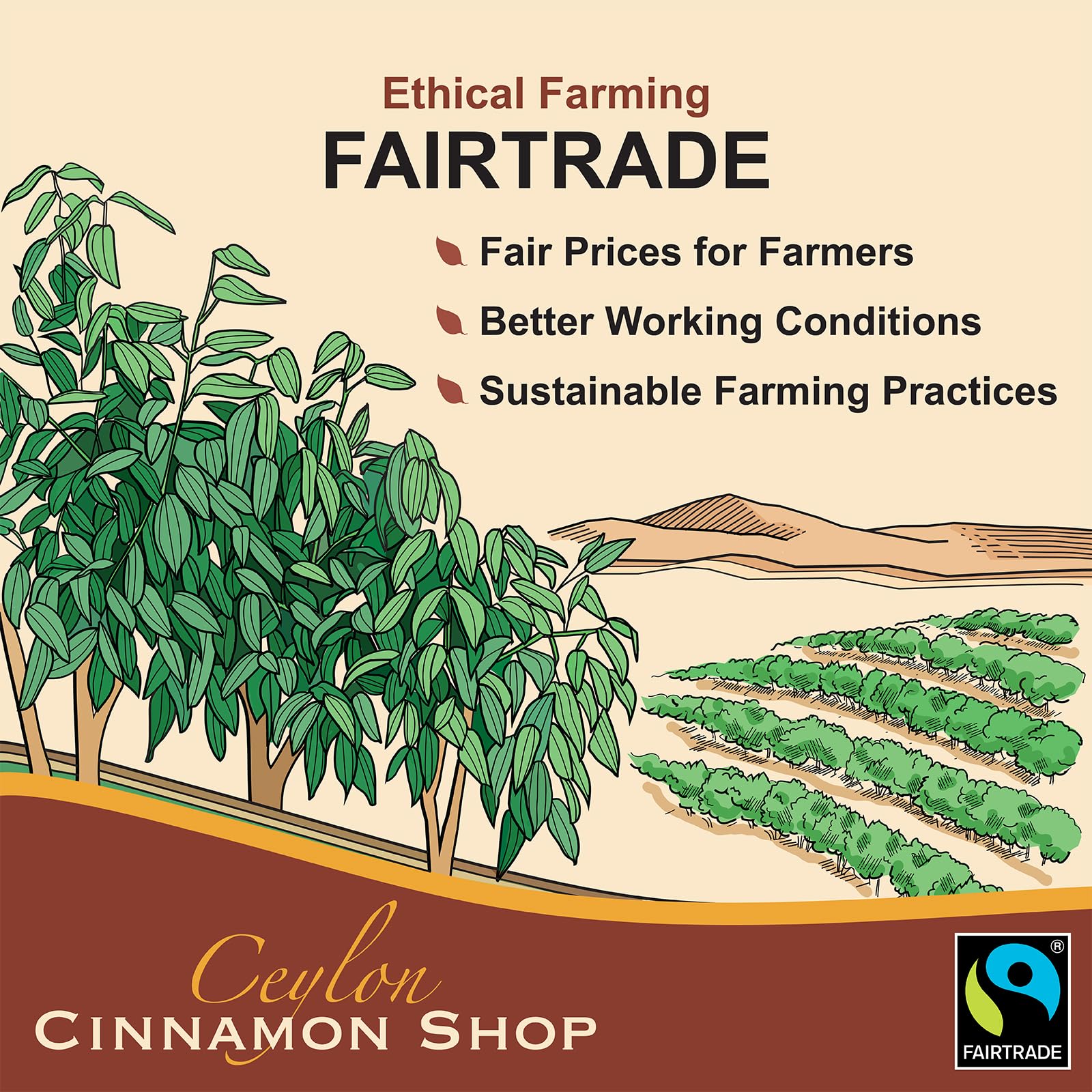 Label detail highlighting organic certifications on Ceylon Cinnamon Shop