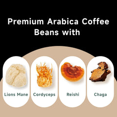 Chaism Reishi and Chaga brew highlights immune-supportive properties in a smooth cup.