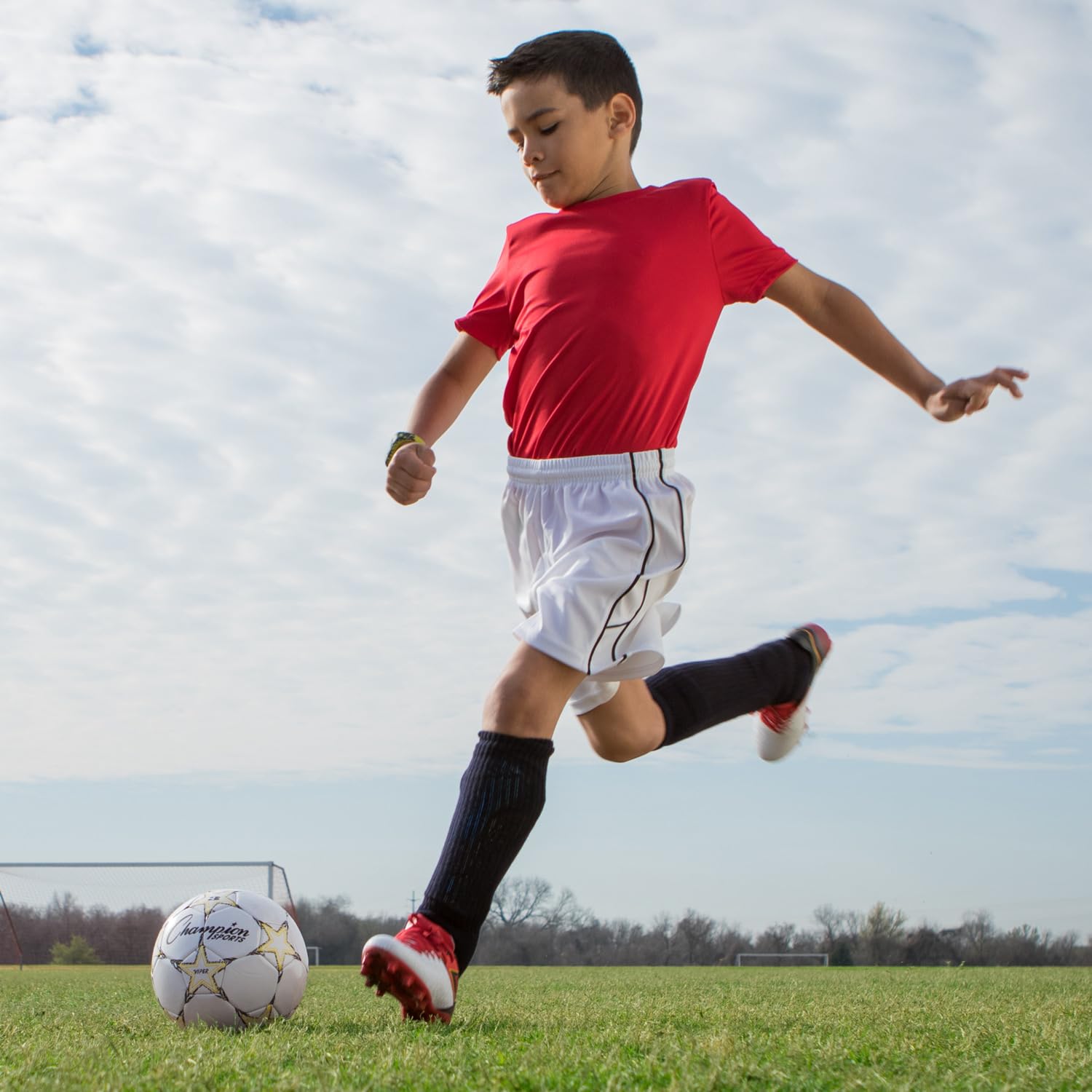 Indoor and outdoor versatility with the Viper Size 3 soccer ball by Champion Sports.