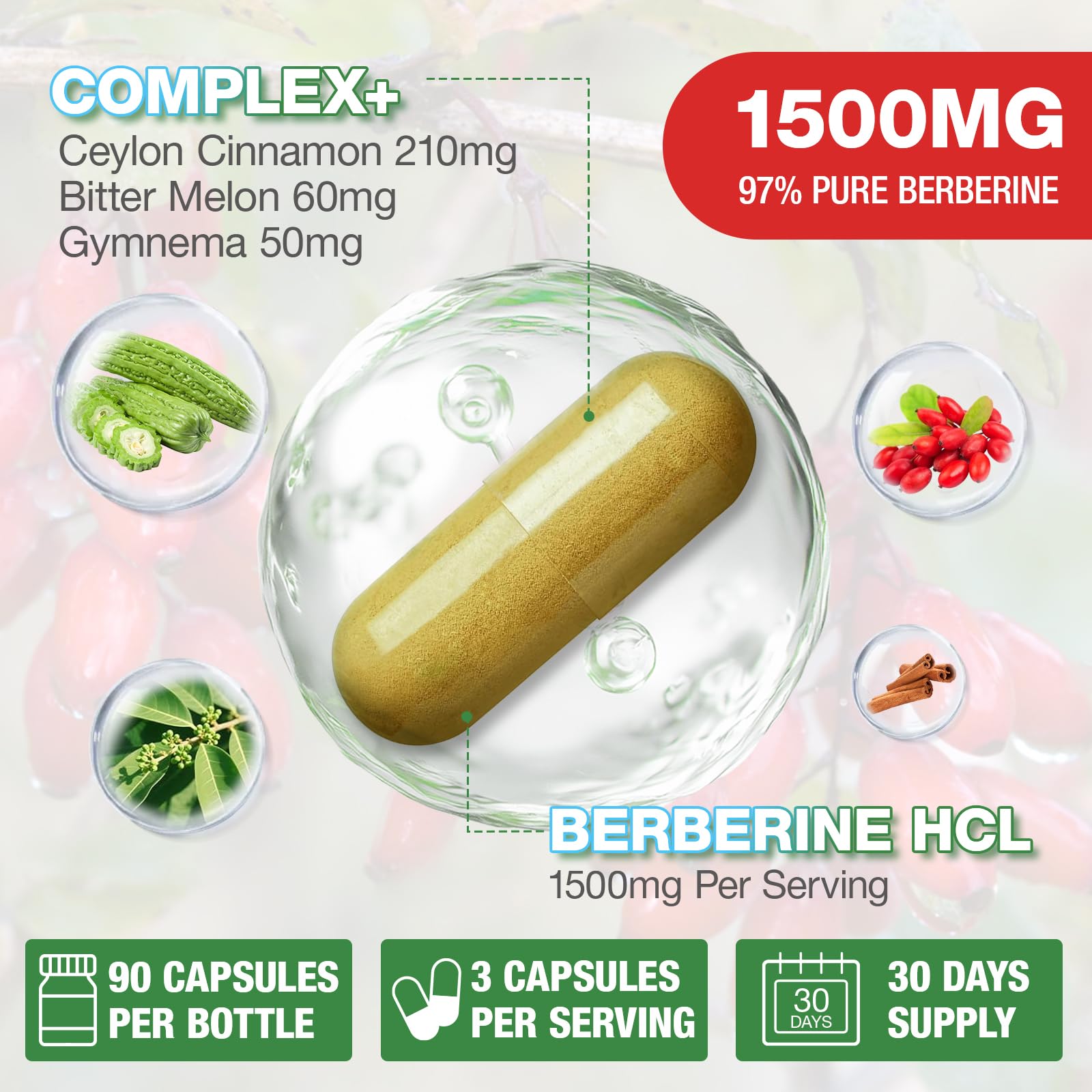CHANUBITO Berberine capsules in blister pack for convenient daily use.