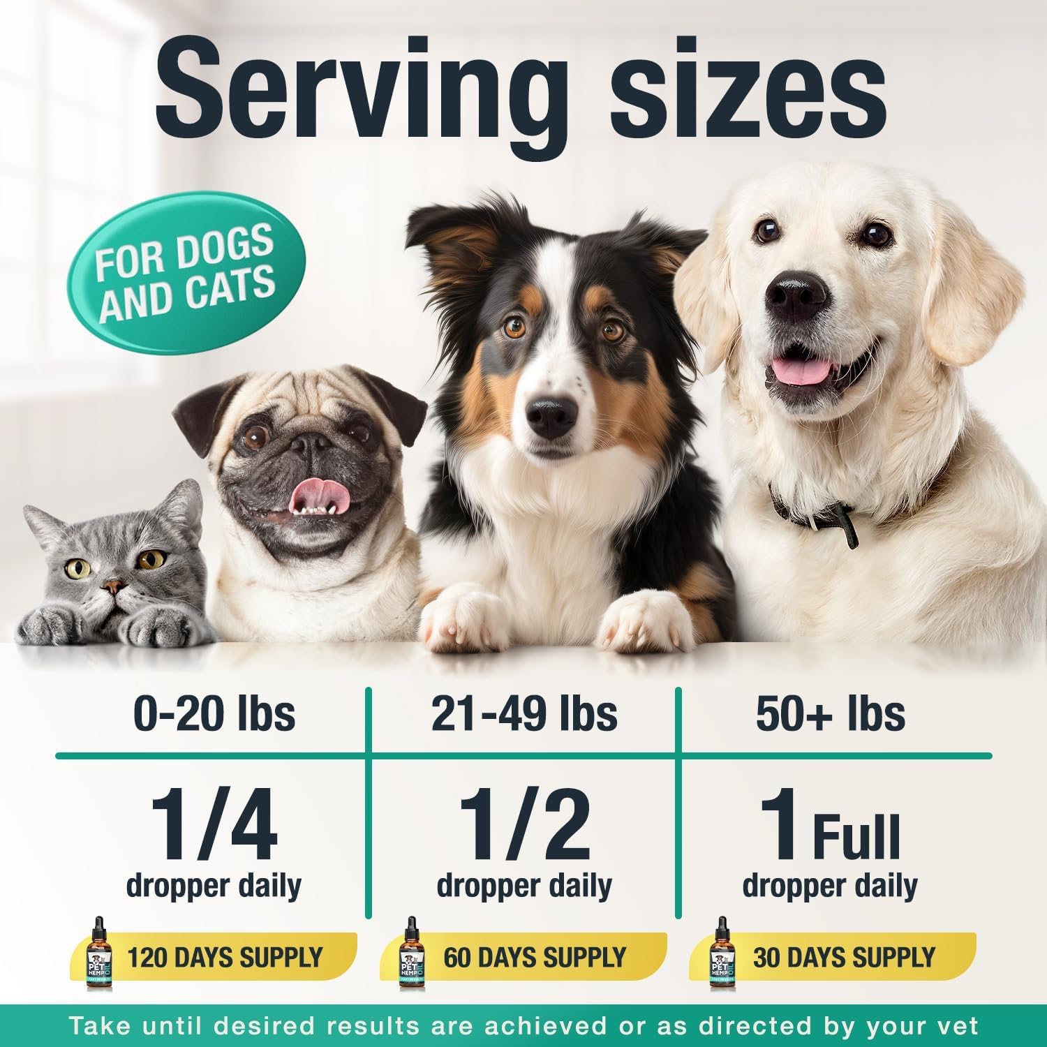 Family uses Charlie & Buddy hemp oil with their pet.