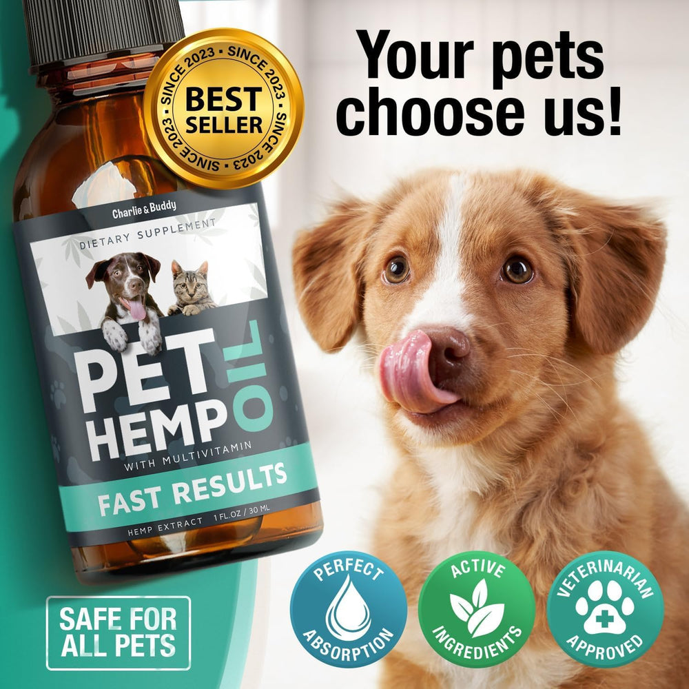 Pet sleeps soundly after Charlie & Buddy hemp oil administration.