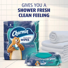 Charmin Flushable Wipes portable soft-pack ideal for travel