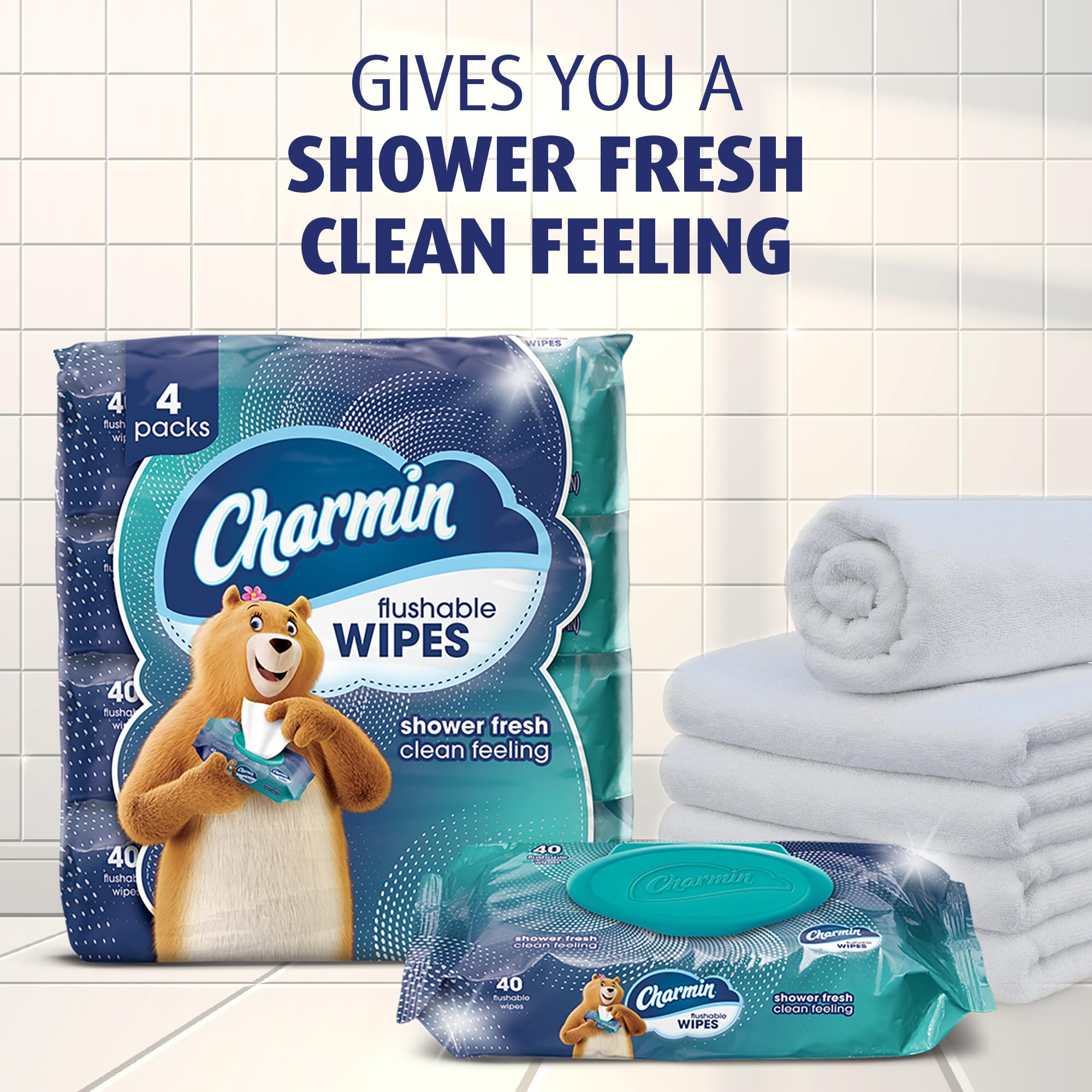 Charmin Flushable Wipes designed for use with well-maintained plumbing.