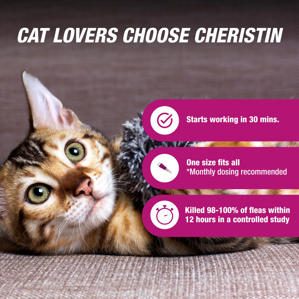 Cheristin shows flea kill within 12 hours (98–100%).