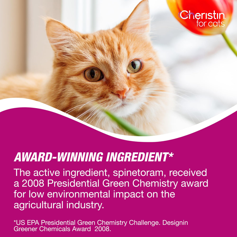 Cheristin rounded-tip applicator applies dose gently.