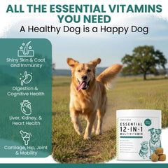 Chew + Heal Labs soft chews in chicken flavor for daily supplementation.