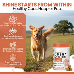 Chew + Heal Labs glossy coat dog image shows healthier-looking fur from balanced omegas.