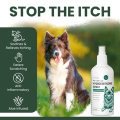 Chew + Heal Labs demangeaisons-chien — aide à réduire l'envie de se gratter localement.