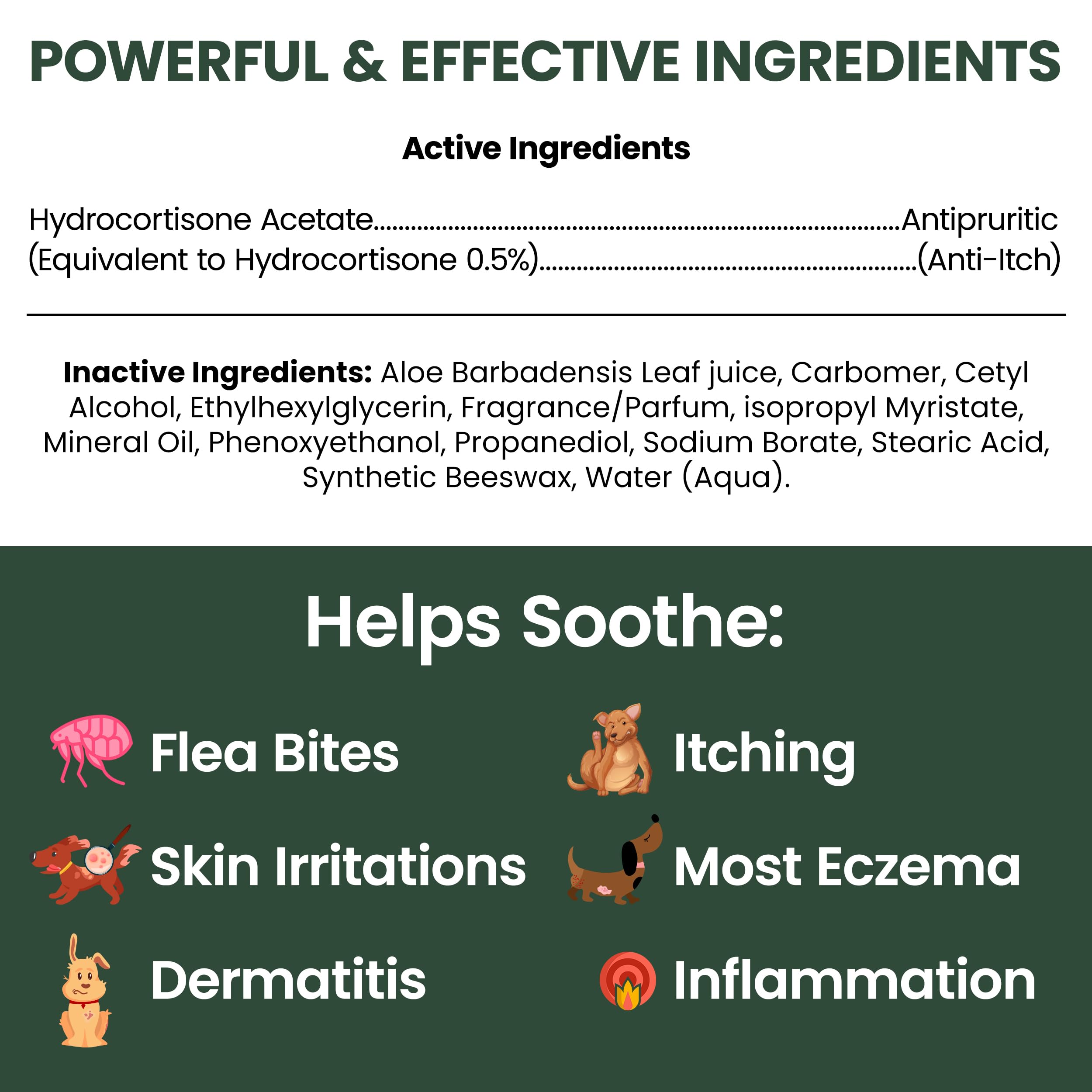 Applying Chew + Heal Labs hydrocortisone lotion to a dog's irritated area