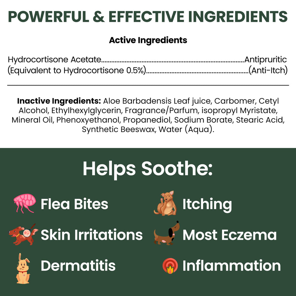 Applying Chew + Heal Labs hydrocortisone lotion to a dog's irritated area