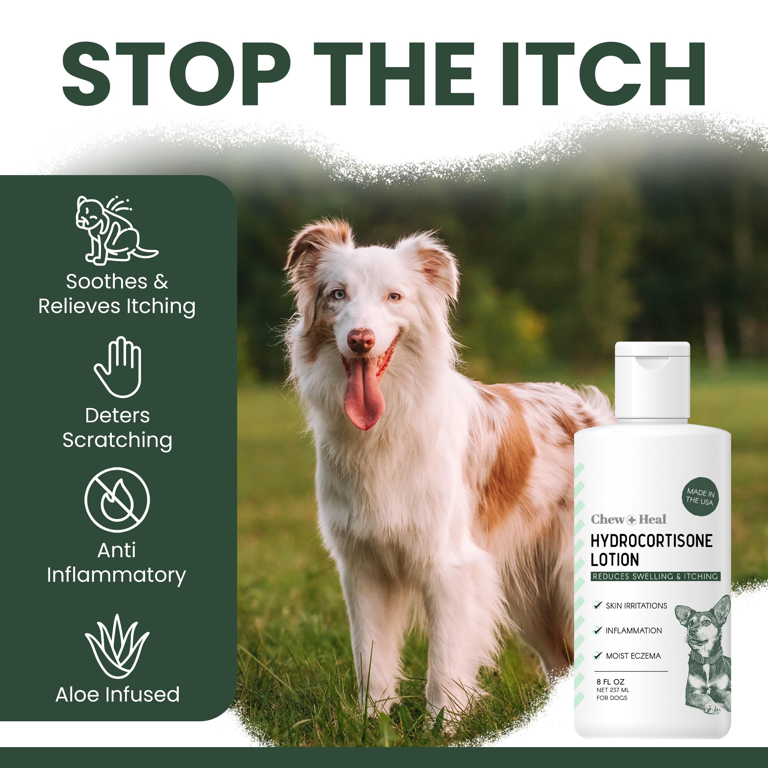 Dog skin irritation area prepped for hydrocortisone lotion treatment