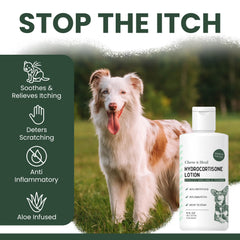 Dog skin irritation area prepped for hydrocortisone lotion treatment