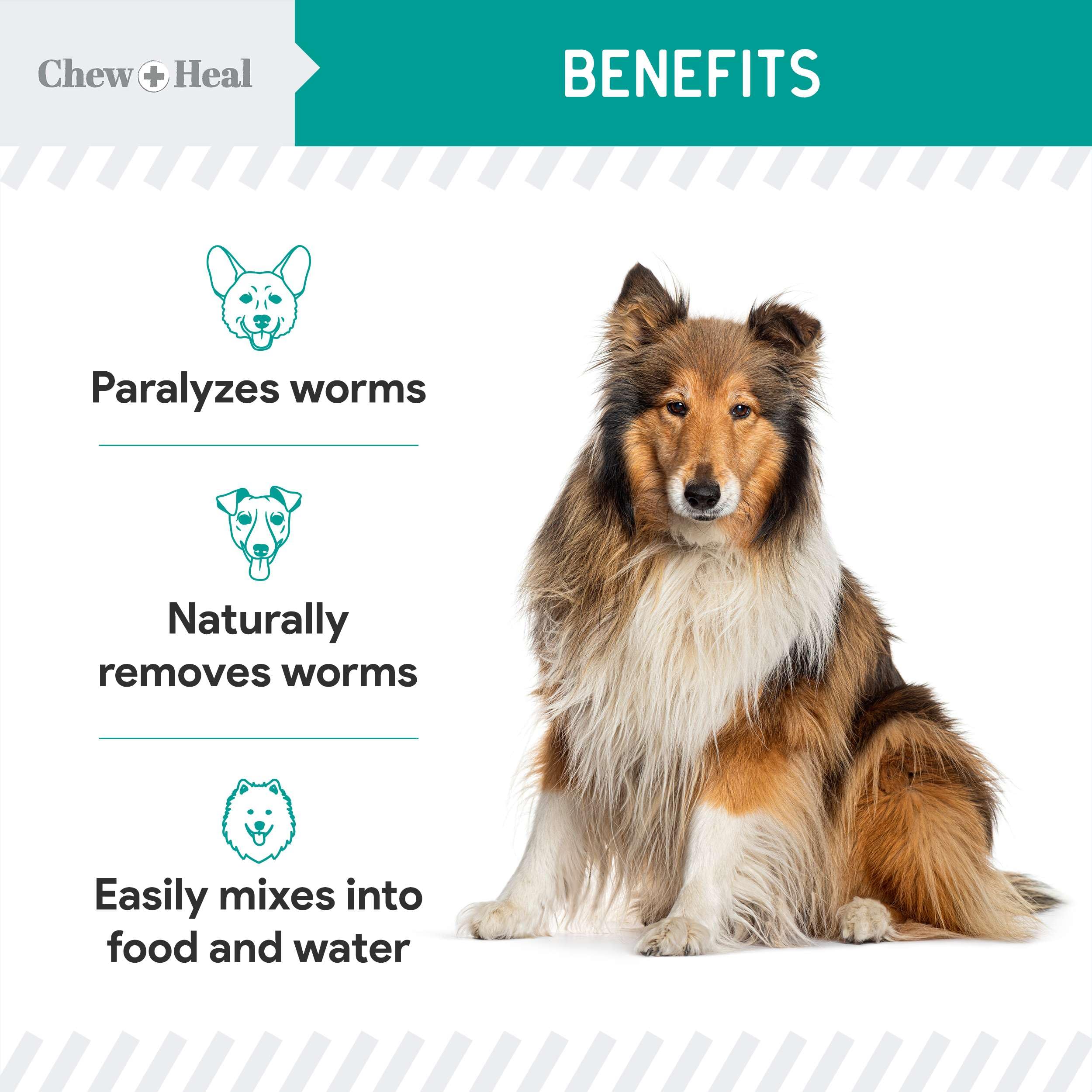 Mixing Chew + Heal Labs dewormer into pet food or water for administration.