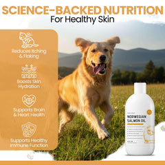 Dog bowl with Chew + Heal Labs salmon oil drizzle