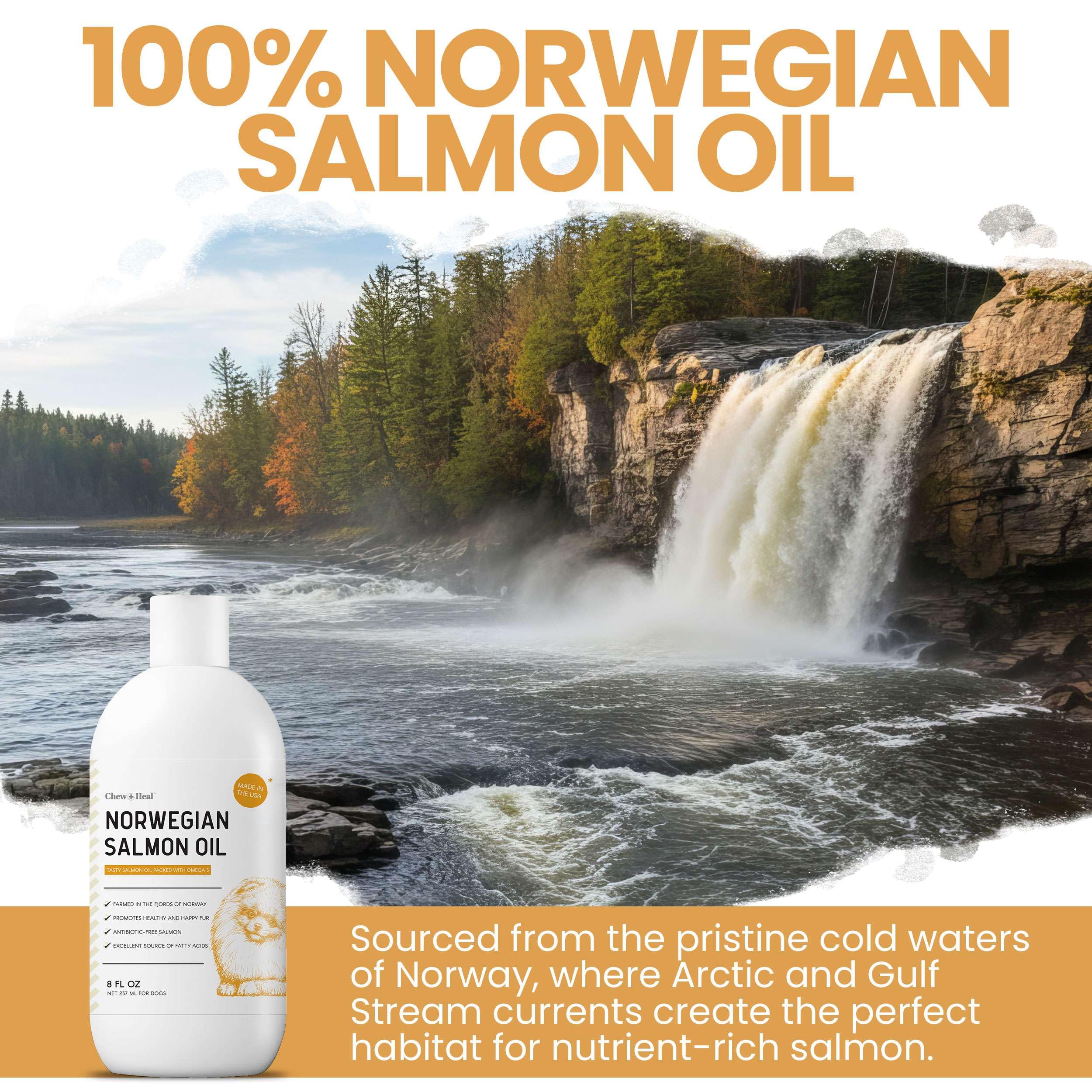 Dog meal with Chew + Heal Labs salmon oil added for nutrition and palatability